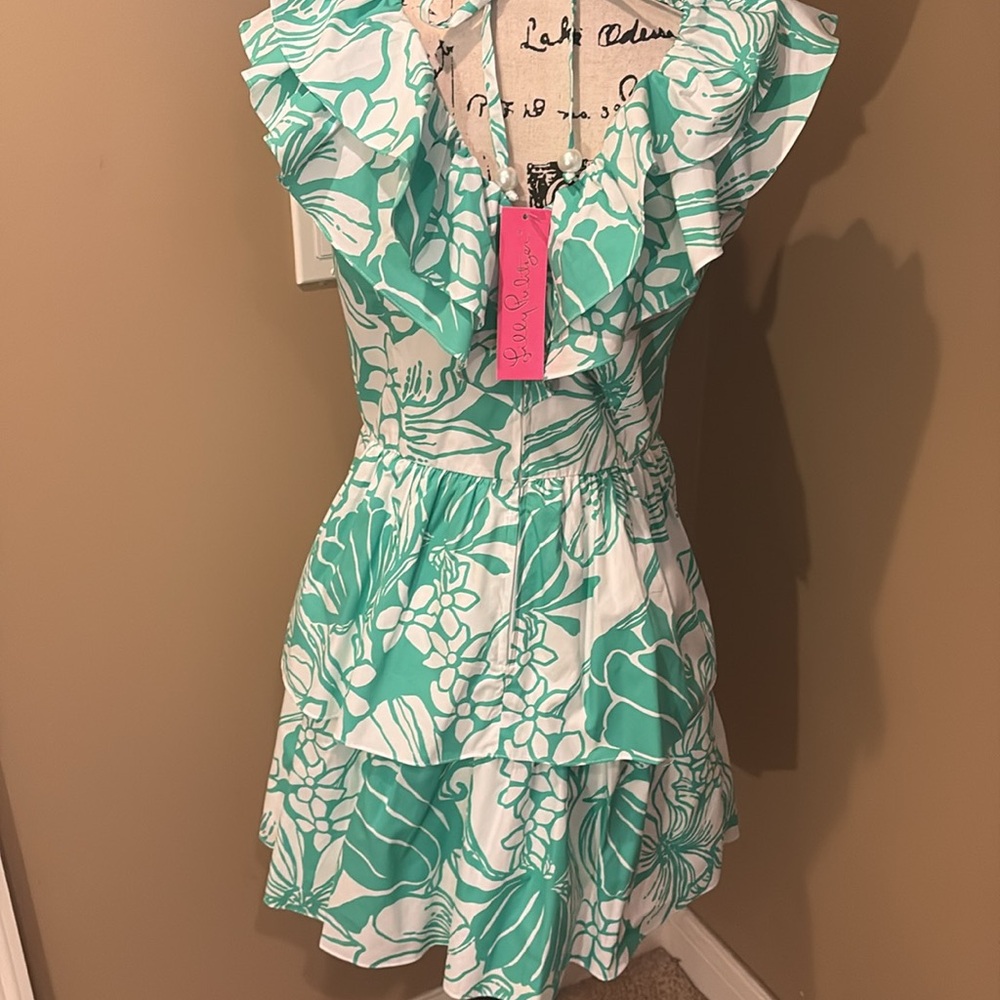 Lilly‎ Pulitzer Rita Marie V-neck Ruffle Spearmint Floral Dress - Picture 6 of 10